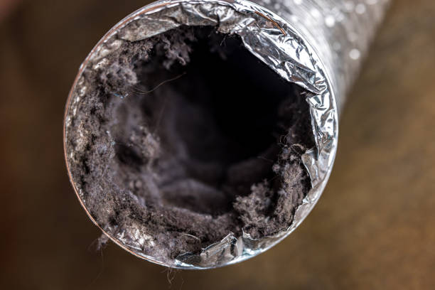 Best Dryer Vent Cleaning Services  in Eddystone, PA