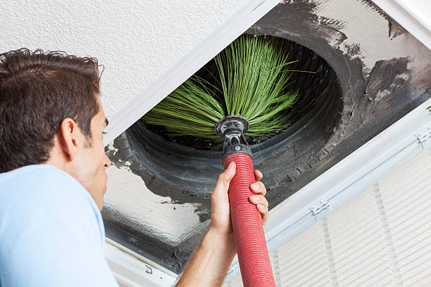 Best Air Duct Mold Removal  in Eddystone, PA